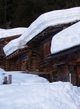 stantoenien2